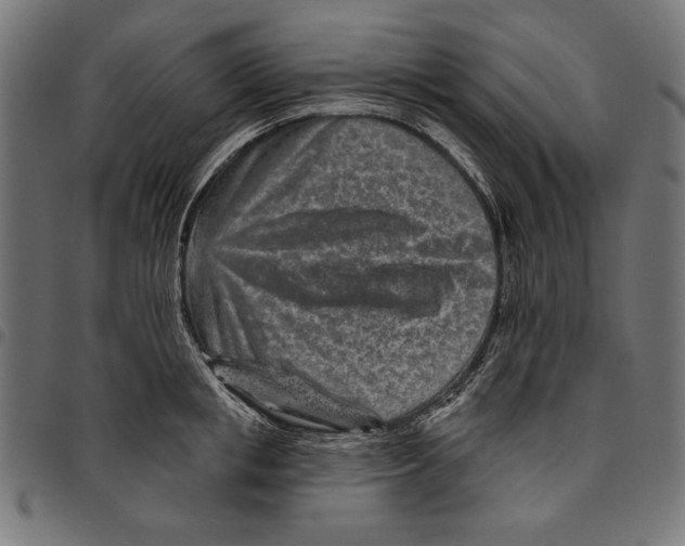 X0000094770853200712141556