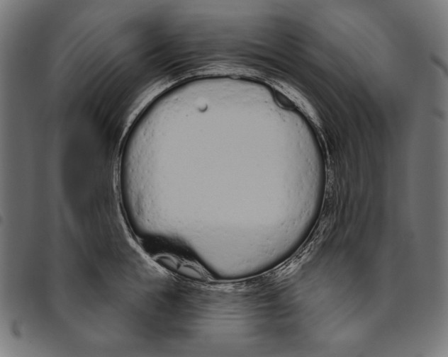 X0000094770855200712141556