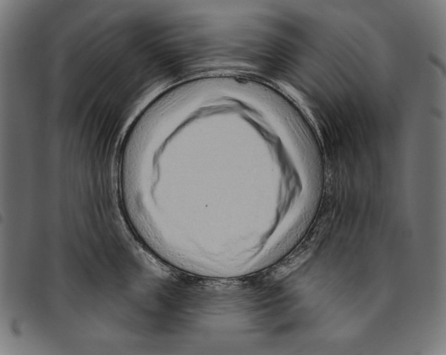 X0000094770859200712141556