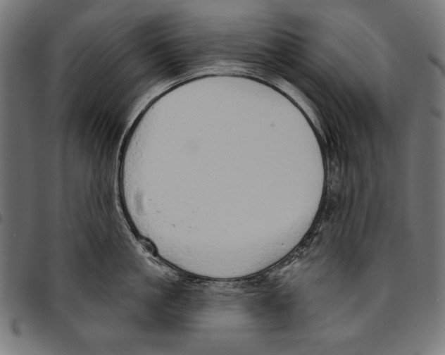 X0000094770861200712141556