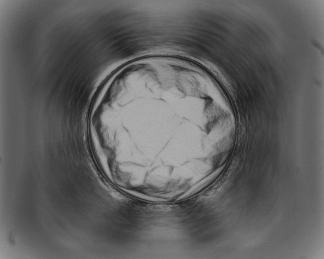 X0000094770862200712141556