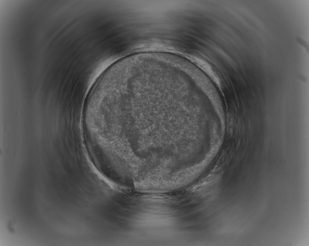 X0000094770863200712141556