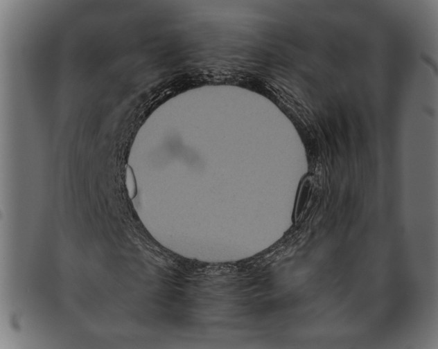 X0000094770865200712141555