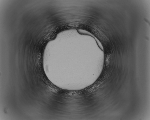 X0000094770867200712141555