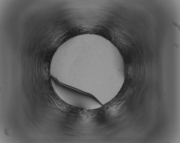 X0000094770868200712141555