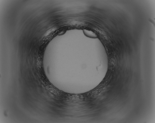 X0000094770869200712141555