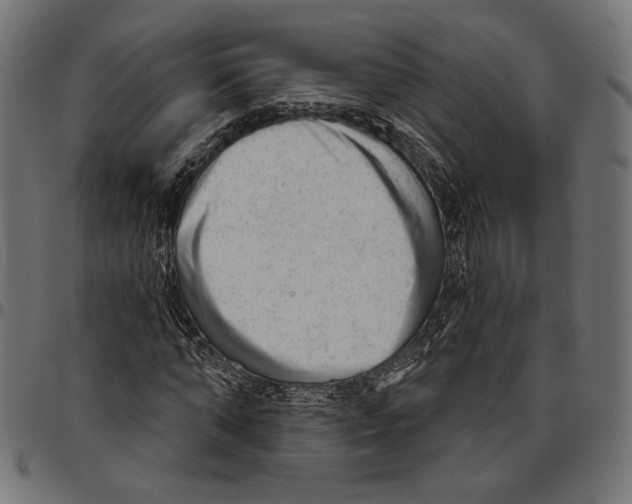 X0000094770870200712141555