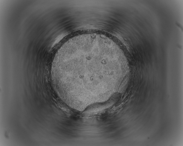 X0000094770871200712141555