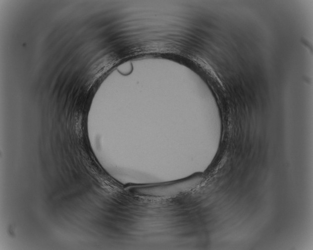 X0000094770873200712141555