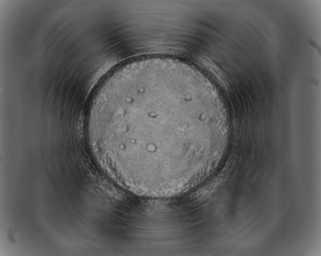 X0000094770875200712141555