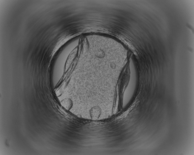 X0000094770877200712141555