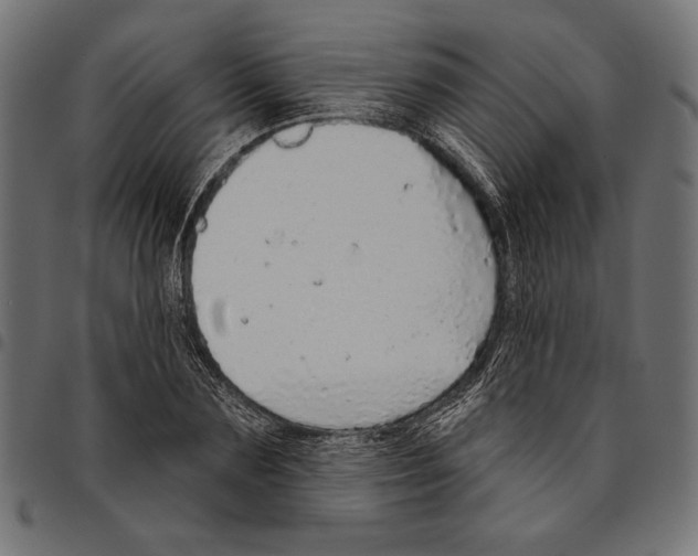 X0000094770883200712141555