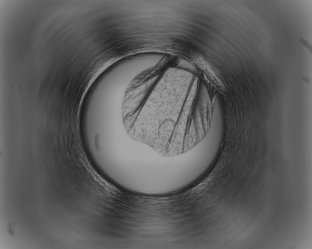 X0000094770884200712141555