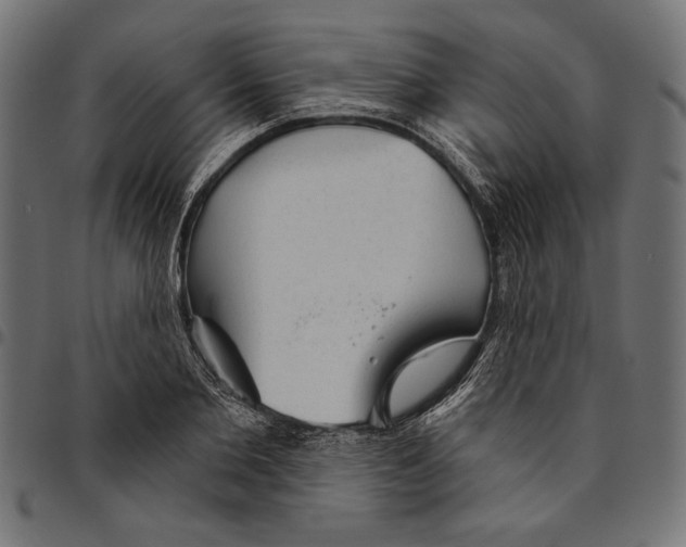 X0000094770885200712141555