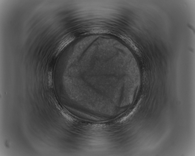 X0000094770889200712141555