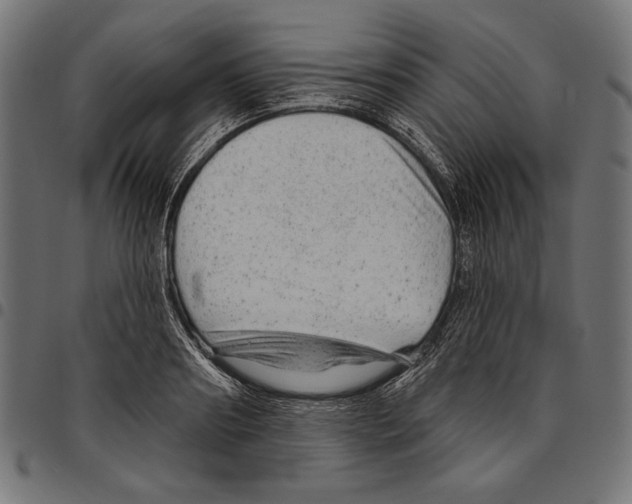 X0000094770890200712141555