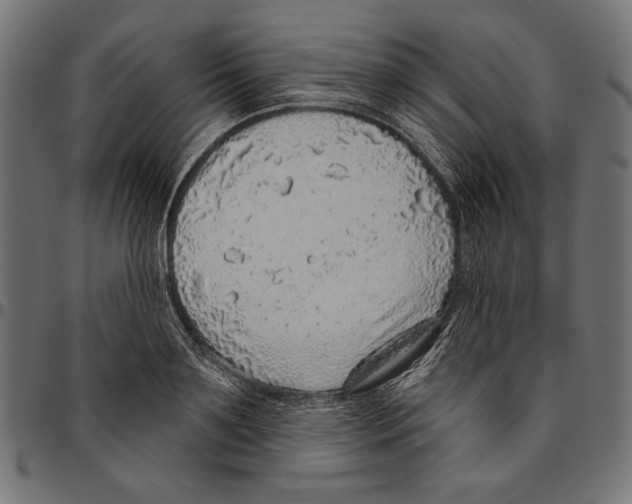 X0000094770891200712141555