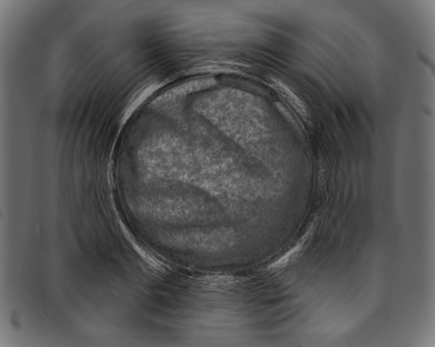 X0000094770893200712141555