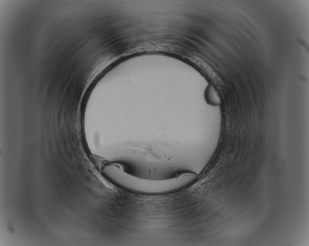 X0000094770894200712141555