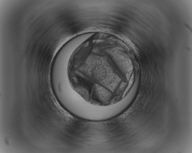 X0000094770896200712141555