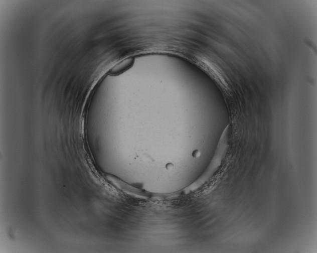 X0000094770900200712141555