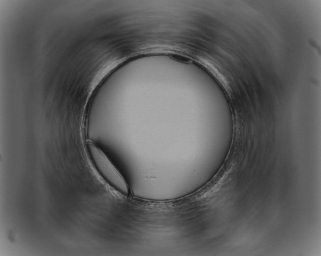 X0000094770901200712141555