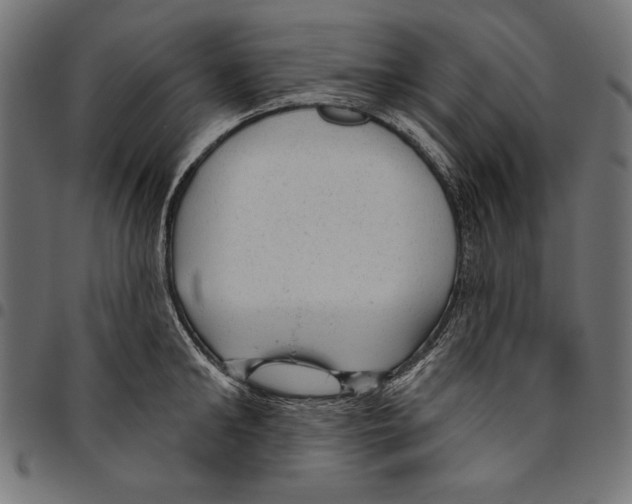 X0000094770902200712141555