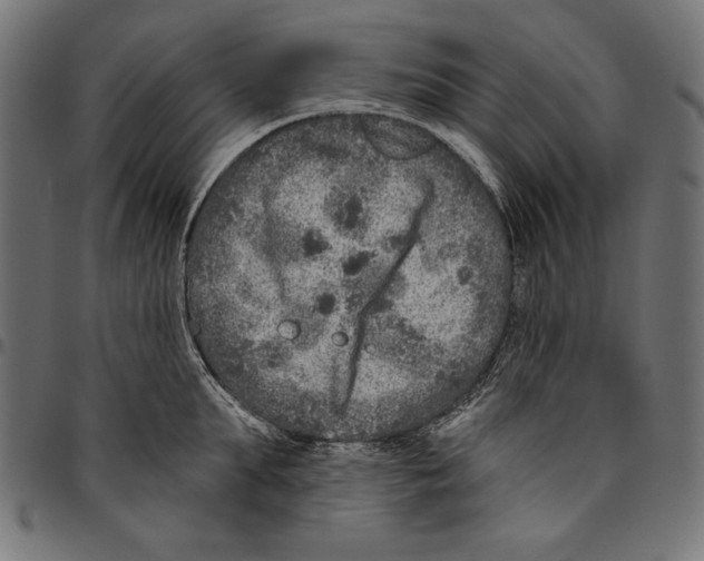 X0000094770903200712141555