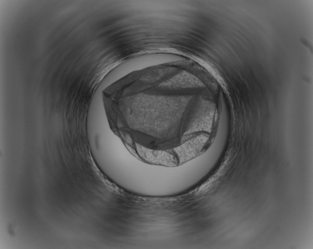 X0000094770905200712141555