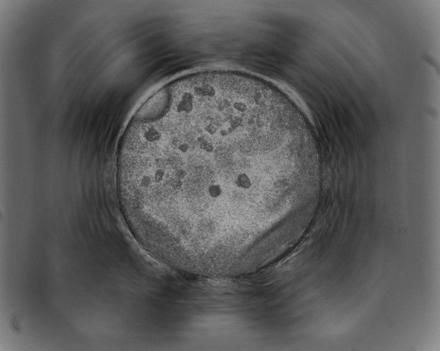 X0000094770911200712141555