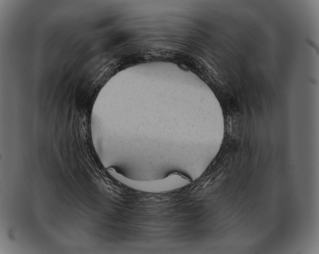 X0000094770915200712141554