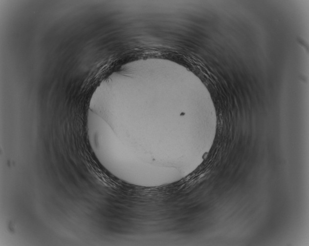 X0000094770916200712141554