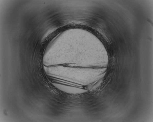 X0000094770919200712141554