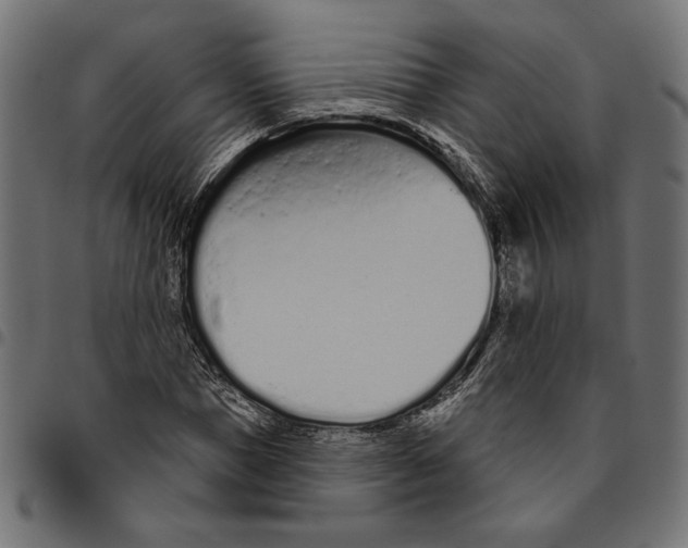 X0000094770921200712141554