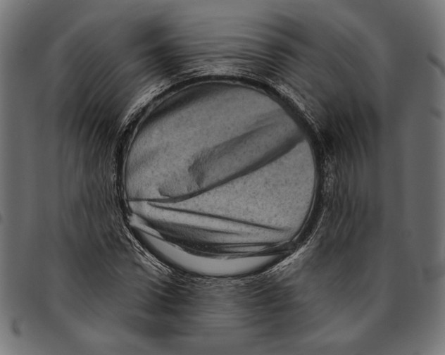 X0000094770922200712141554