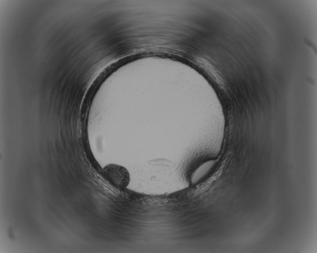 X0000094770924200712141554