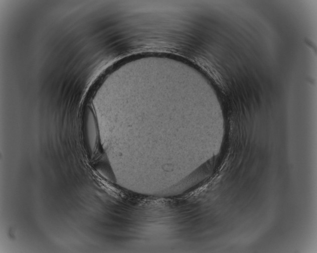 X0000094770926200712141554