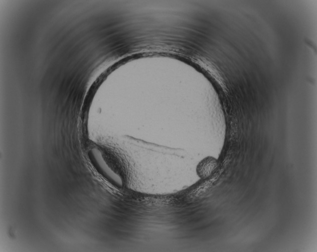 X0000094770928200712141554