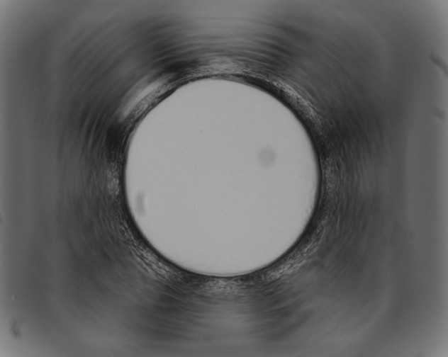 X0000094770929200712141554