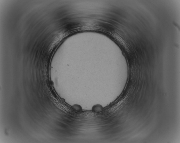 X0000094770930200712141554