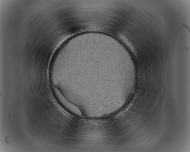 X0000094770932200712141554