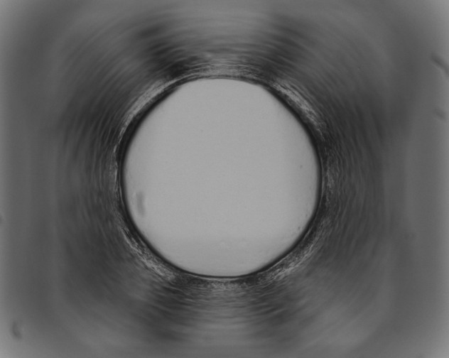 X0000094770933200712141554