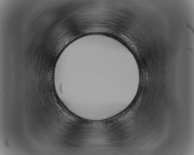 X0000094770937200712141554