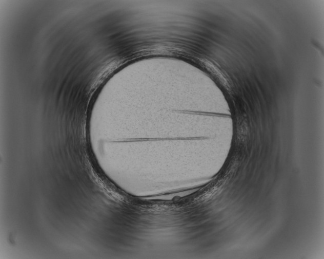 X0000094770938200712141554