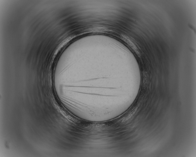 X0000094770939200712141554