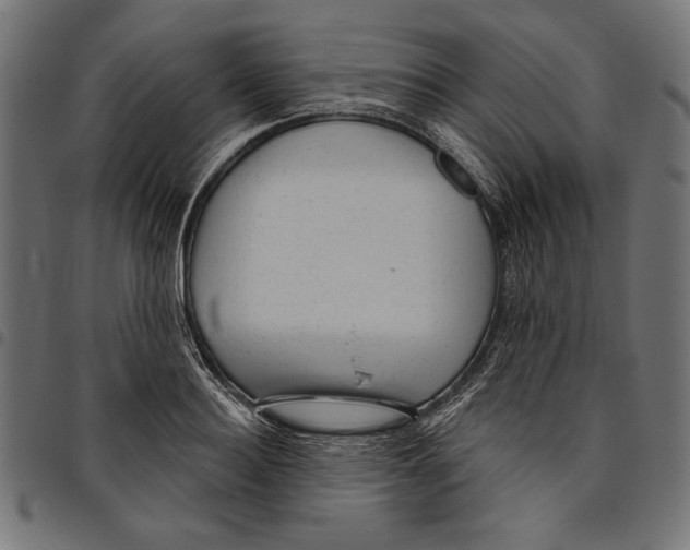 X0000094770940200712141554