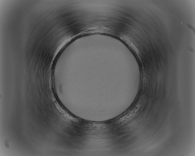 X0000094770941200712141555