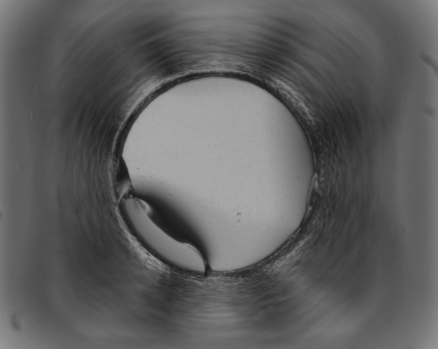 X0000094770942200712141555