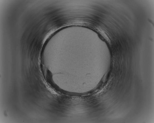 X0000094770944200712141555