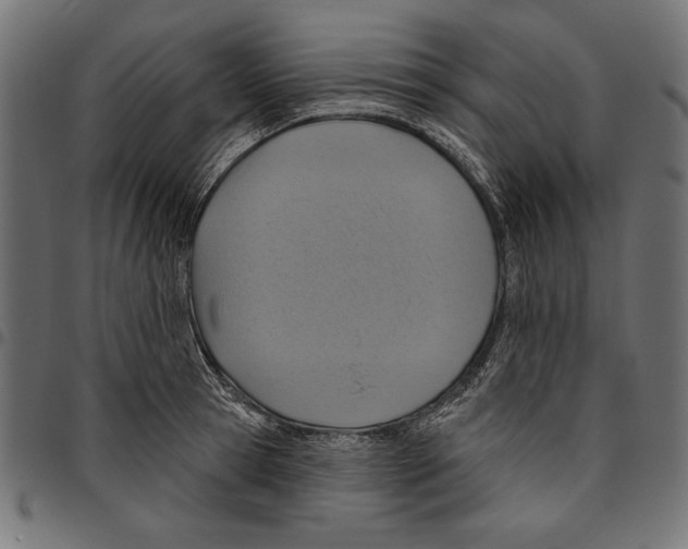 X0000094770945200712141555